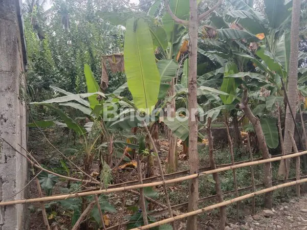 image DIJUAL TANAH STRATEGIS - BATU LAYAR,LOMBOK BARAT (1)