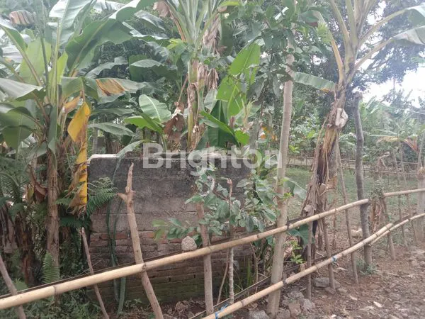 image DIJUAL TANAH STRATEGIS - BATU LAYAR,LOMBOK BARAT (3)