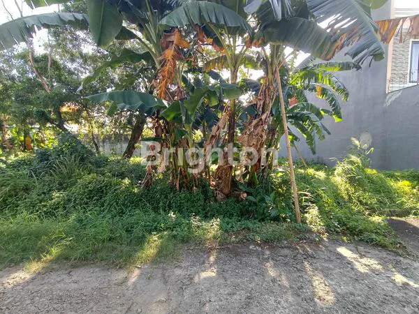 image TANAH KAVLING DIJUAL DI KOMPLEK DEPKES 3 (3)