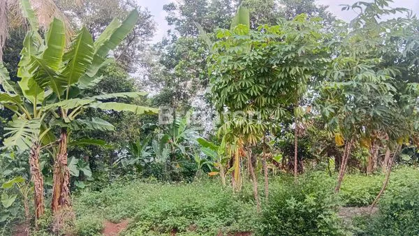 image TANAH SIAP BANGUN AREA MIJEN BSB (3)