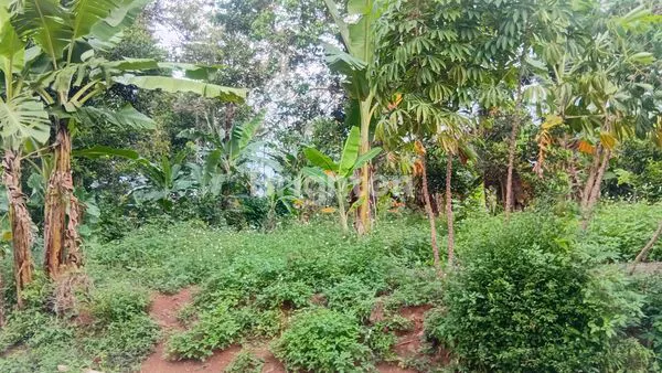 image TANAH SIAP BANGUN AREA MIJEN BSB (5)