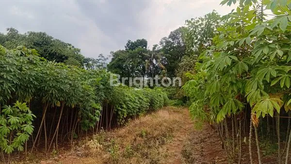 image TANAH MIJEN (2)