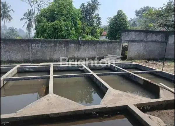 image TANAH  DAN USAHA EMPANG SIAP PAKAI (3)