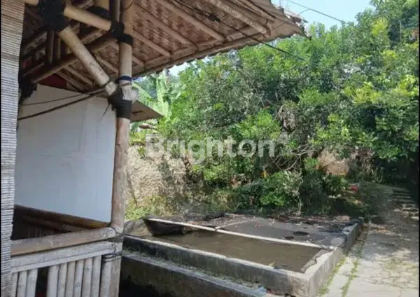 image TANAH  DAN USAHA EMPANG SIAP PAKAI (4)