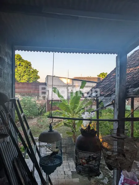 image RUMAH HUNIAN MOJOKERTO (6)