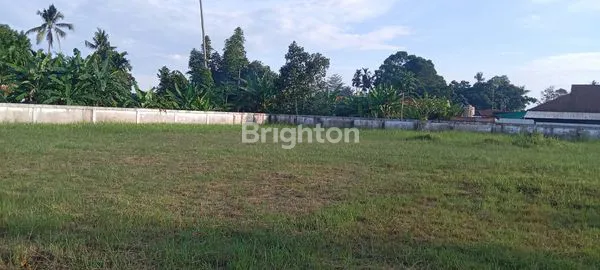 image TANAH KOMERSIL 5.500M2 DI PINGGIR JL.HANGTUAH BERSEBELAHAN DENGAN DINAS PETERNAKAN (5)