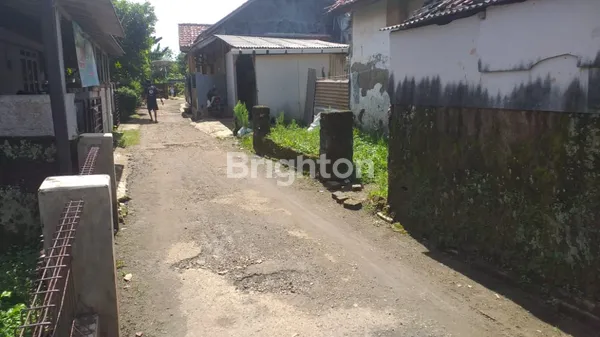 image TANAH LUAS DI SUKATANI PURWAKARTA JAWA BARAT (1)