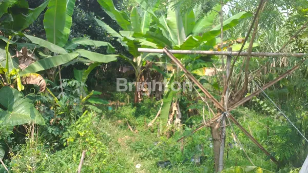 image TANAH LUAS DI SUKATANI PURWAKARTA JAWA BARAT (5)