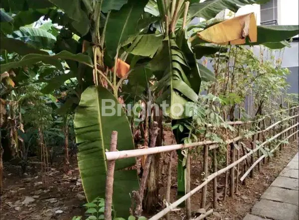 image TANAH DIJUAL MURAH - PINANG, TANGERANG (4)