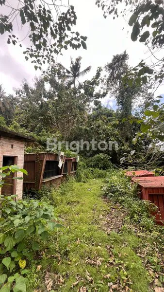 image TANAH ABIMANYU, SANGEH, BADUNG  (4)