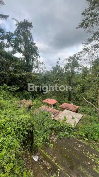 image TANAH ABIMANYU, SANGEH, BADUNG  (2)