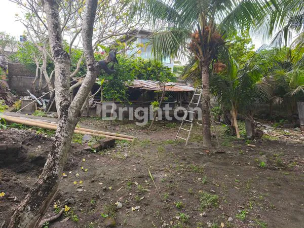image TANAH 4,5 ARE ITR KUNING HANYA 30 JUTA/ ARE/TAHUN DI  CANGGU   (7)