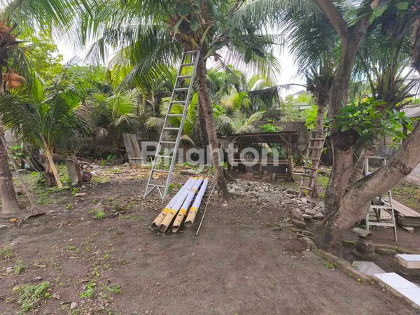 image TANAH 4,5 ARE ITR KUNING HANYA 30 JUTA/ ARE/TAHUN DI  CANGGU   (6)