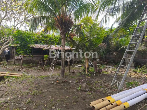 image TANAH 4,5 ARE ITR KUNING HANYA 30 JUTA/ ARE/TAHUN DI  CANGGU   (2)