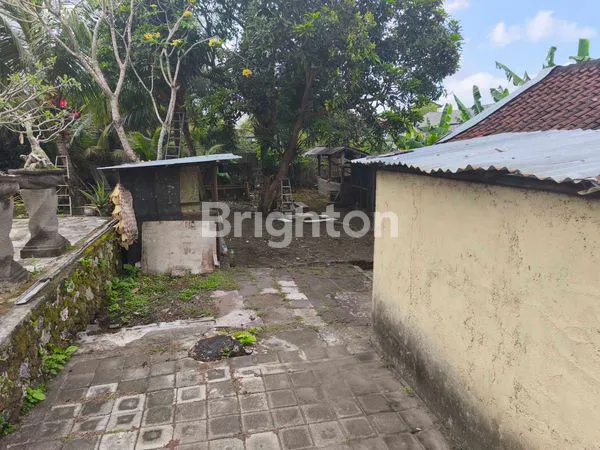 image TANAH 4,5 ARE ITR KUNING HANYA 30 JUTA/ ARE/TAHUN DI  CANGGU   (8)