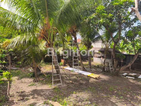 image TANAH 4,5 ARE ITR KUNING HANYA 30 JUTA/ ARE/TAHUN DI  CANGGU   (4)