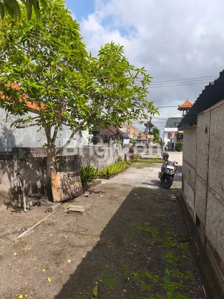 image TANAH 4,5 ARE ITR KUNING HANYA 30 JUTA/ ARE/TAHUN DI  CANGGU   (5)