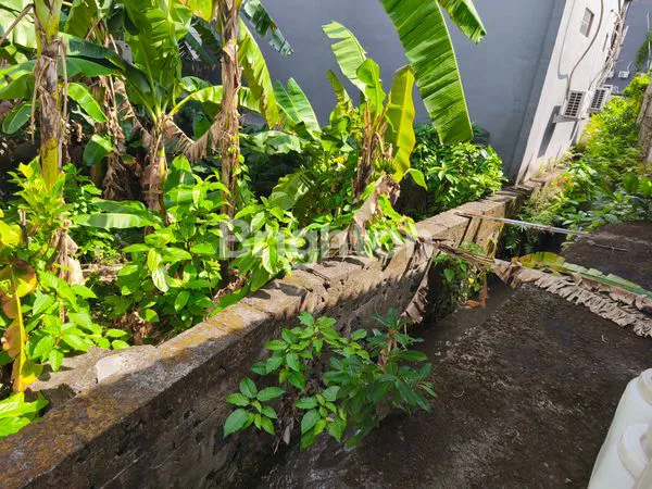 image TANAH 3,5 ARE JALAN KAYU TULANG CANGGU  (3)