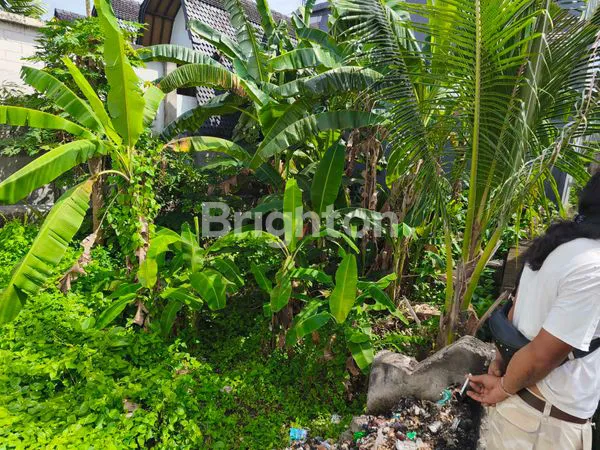 image TANAH 3,5 ARE JALAN KAYU TULANG CANGGU  (7)