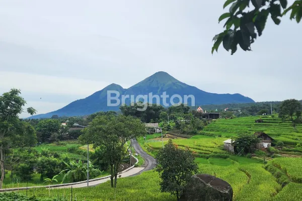 image VILLA INDRAPRASTA VIEW GUNUNG, 2KT, SEMI FURNISH DI PACET MOJOKERTO (1)