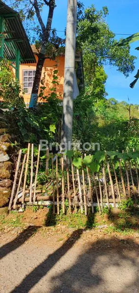 image TANAH PREMIUM 2 HA VIEW PEGUNUNGAN DI MALINO TINGGIMONCONG (4)