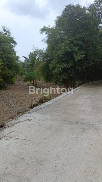 image TANAH KEBON YG LUAS DAN MURAH  (2)
