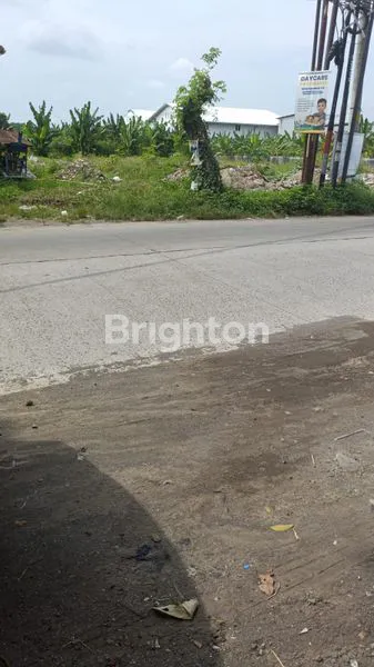 image TANAH LUAS DEKAT PASAR  (1)