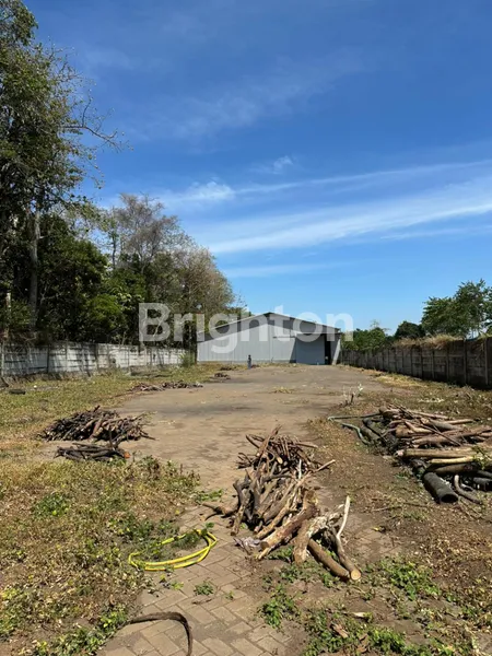 image GUDANG RAYA MOJOSARI TRAWAS (4)