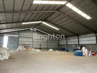 WhatsApp Image 2025 09 04 at 11.58.18 AM 1