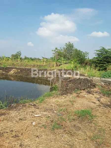 image TANAH TAMBAK CERME GRESIK (2)