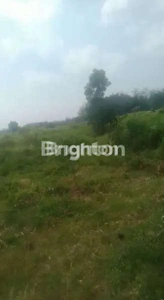 Gambar Property TANAH WARU SIDOARJO