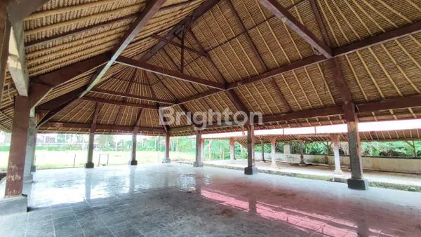 image TANAH BONUS BANGUNAN DI MAS UBUD - JALAN NYUH KUNING (4)
