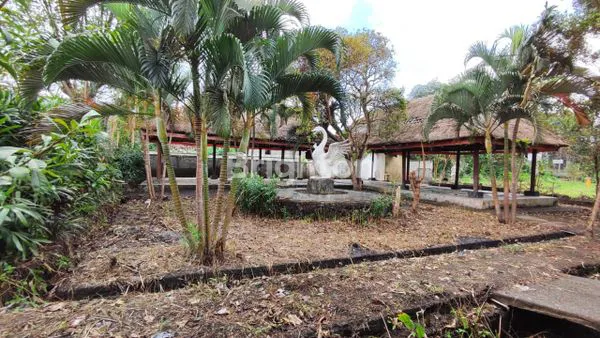 image TANAH BONUS BANGUNAN DI MAS UBUD - JALAN NYUH KUNING (5)