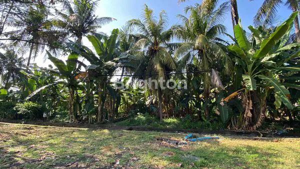 image TANAH KOMERSIAL DISEWAKAN DI JALAN  IDA BAGUS, GIANYAR – 7,5 ARE (1)
