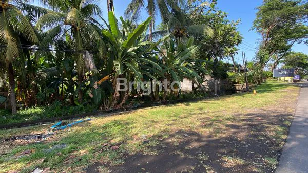 image TANAH KOMERSIAL DISEWAKAN DI JALAN  IDA BAGUS, GIANYAR – 7,5 ARE (2)
