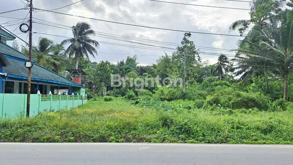 image TANAH PREMIUM 2.1 HA PINGGIR JALAN TEPO, DEKAT TOL KM 13 (1)