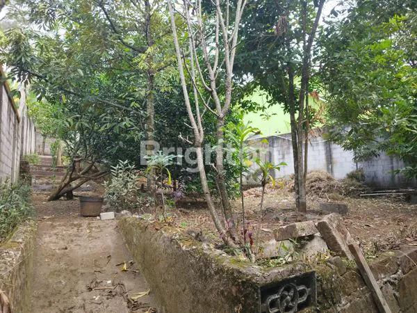 image DIJUAL RUMAH VILLA DI PANDAAN (4)