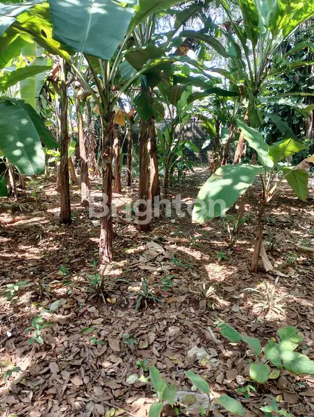 image TANAH STRATEGIS DEKAT LRT CIBUBUR (3)