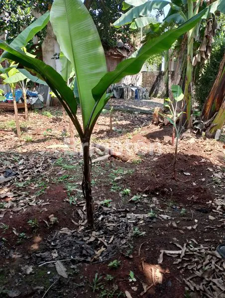 image TANAH STRATEGIS DEKAT LRT CIBUBUR (5)
