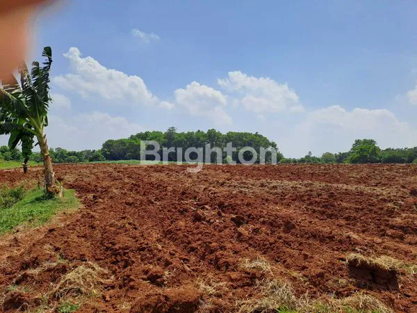 image DIJUAL TANAH INDUSTRI (5)