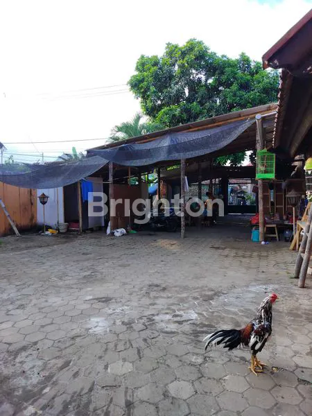 image RUMAH LUAS DEKAT HOTEL KOKOON, 6KT, 5 GARASI - PAKIS KALIREJO BANYUWANGI  (7)