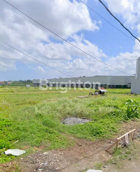 image TANAH KAVLING STRATEGIS PROMO SPESIAL FREE BIAYA AJB NOTARIS DI  UBUNG KAJA CONGKROAMINOTO DENPASAR  (6)