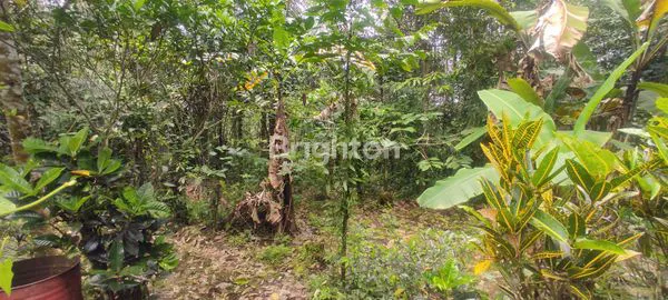 image TANAH SELUAS 9410 M² DI PENEBEL - TABANAN (3)