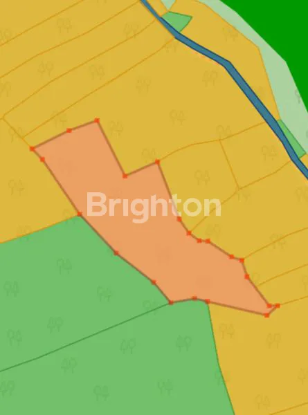 image TANAH SELUAS 9410 M² DI PENEBEL - TABANAN (5)