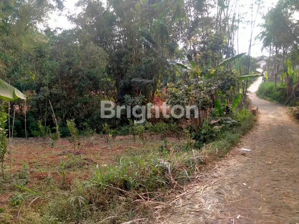 image KARANGPLOSO AKSES TRUK (3)