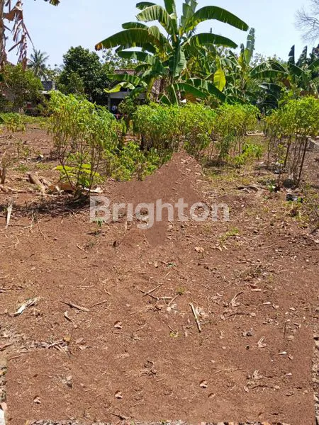 image TANAH MURAH (BU) DI DAERAH KECAMATAN PRINGAPUS SEMARANG (1)