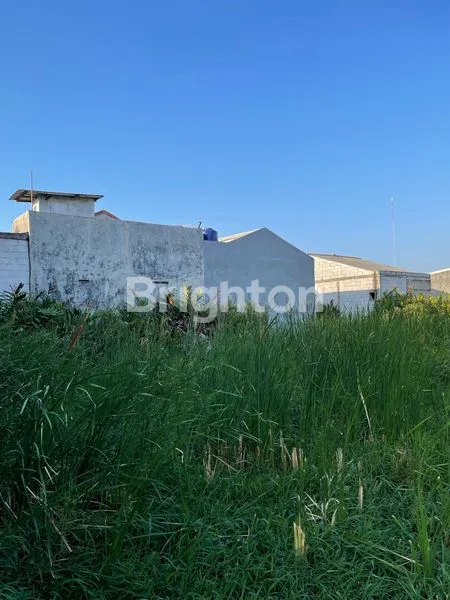 image TANAH KAVLING SANGAT MURAH DEKAT HARAPAN INDAH DI TARUMAJAYA KAB BEKASI (4)