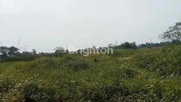 image DIJUAL TANAH CIRUAS SERANG TANGERANG (1)