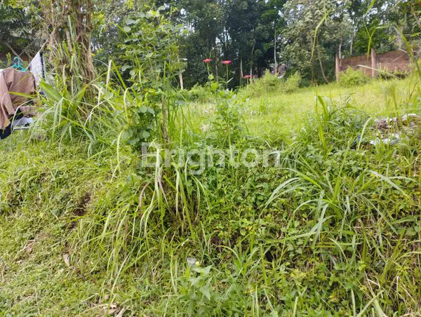 image TANAH PREMIUM 640M2 DEKAT TOL MALANG, PERDANA KUSUMA (1)