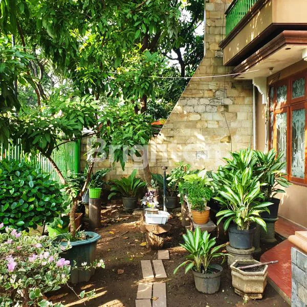 image RUMAH RUNGKUT (4)